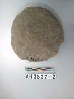 藏品(石片器)的圖片